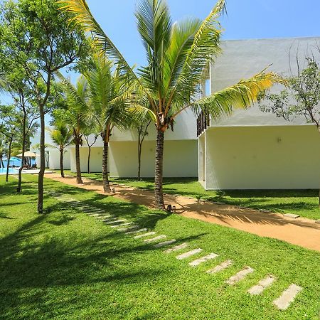 Hotel Arugambay Roccos Arugam Bay Esterno foto