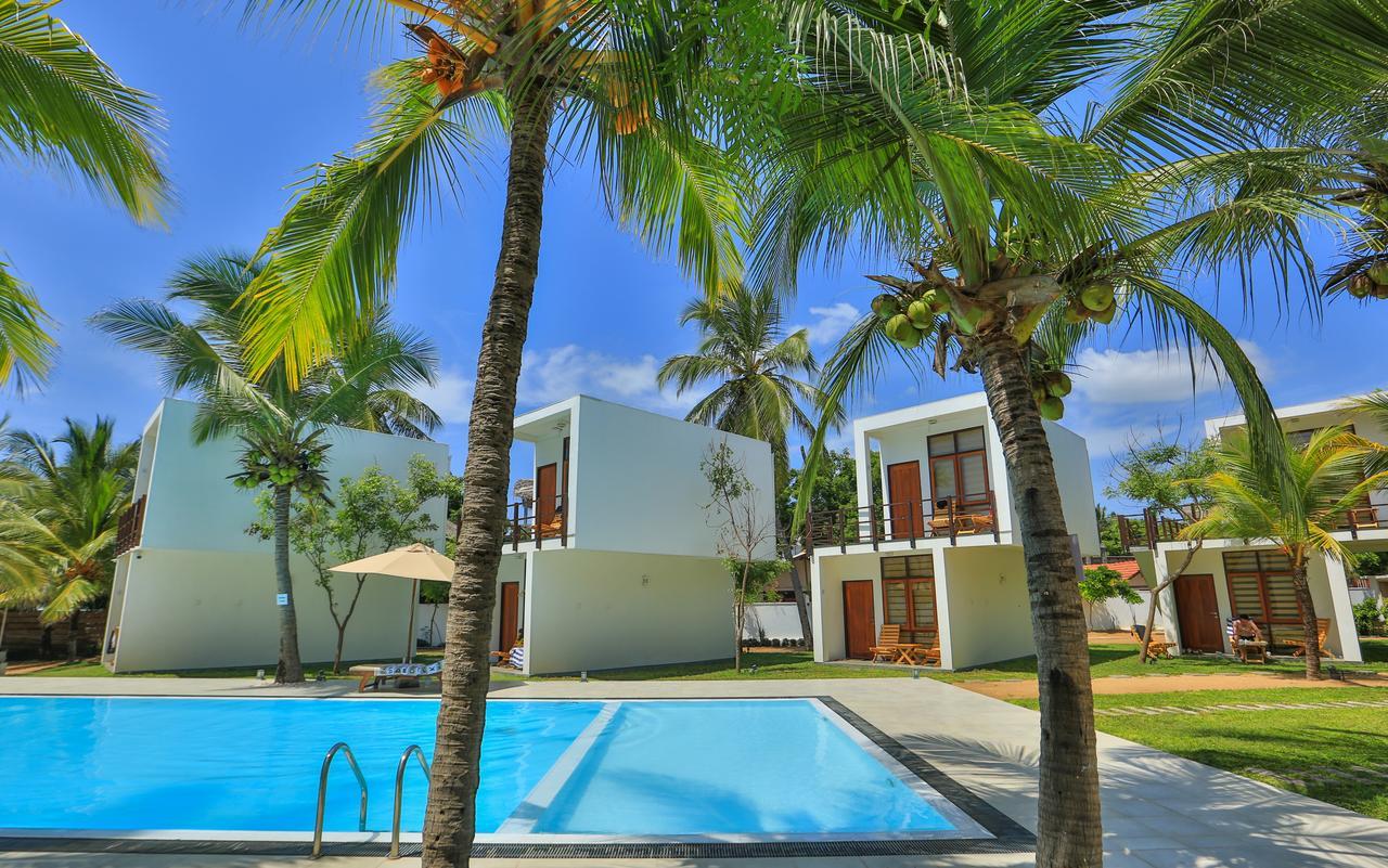 Hotel Arugambay Roccos Arugam Bay Esterno foto