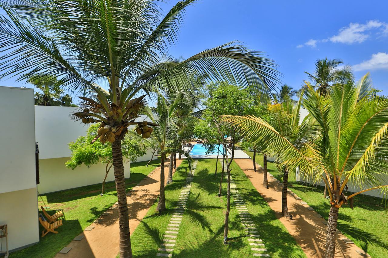 Hotel Arugambay Roccos Arugam Bay Esterno foto